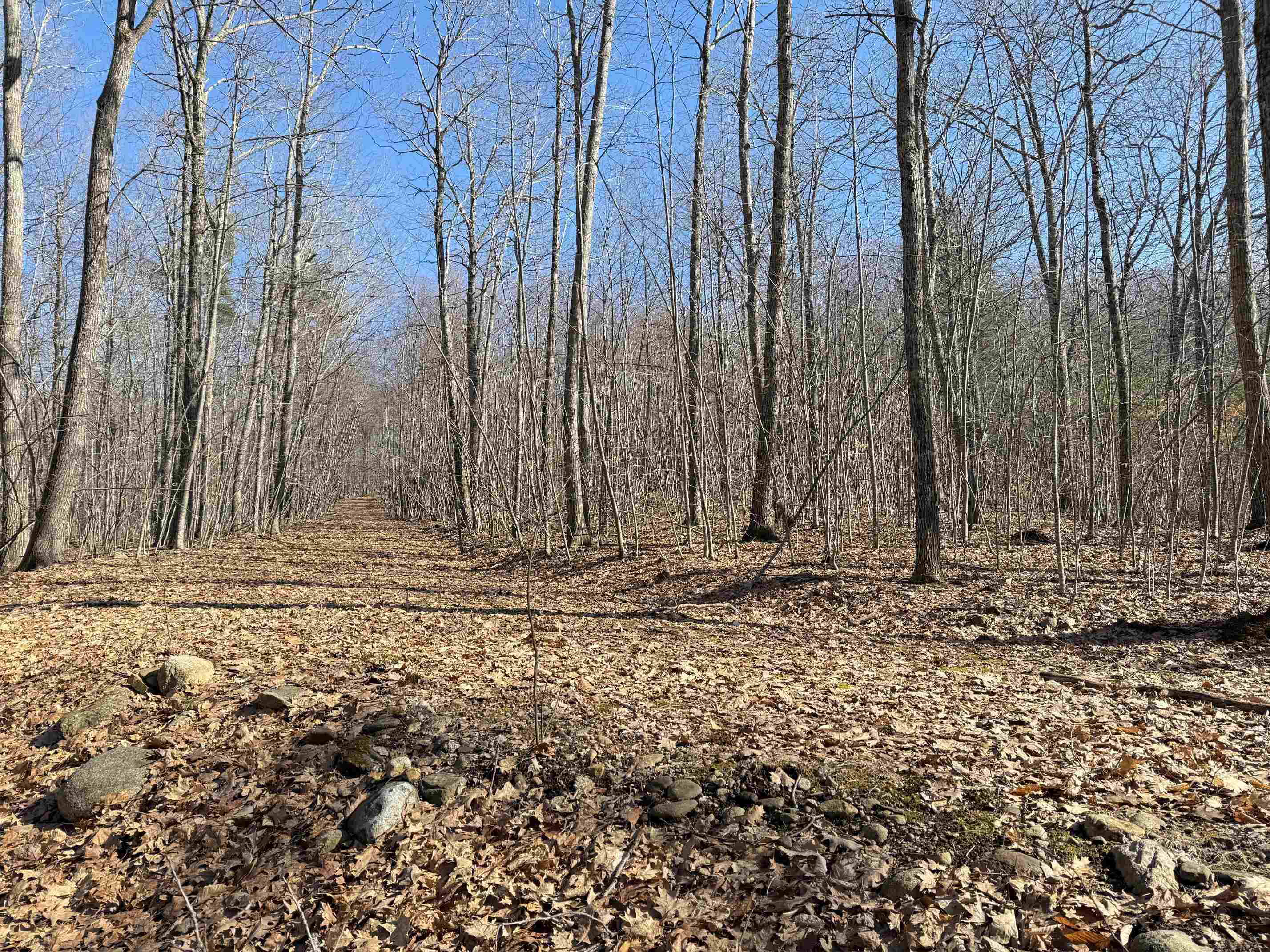 129 Water Street Strafford, NH 03884 - Photo 14 of 29