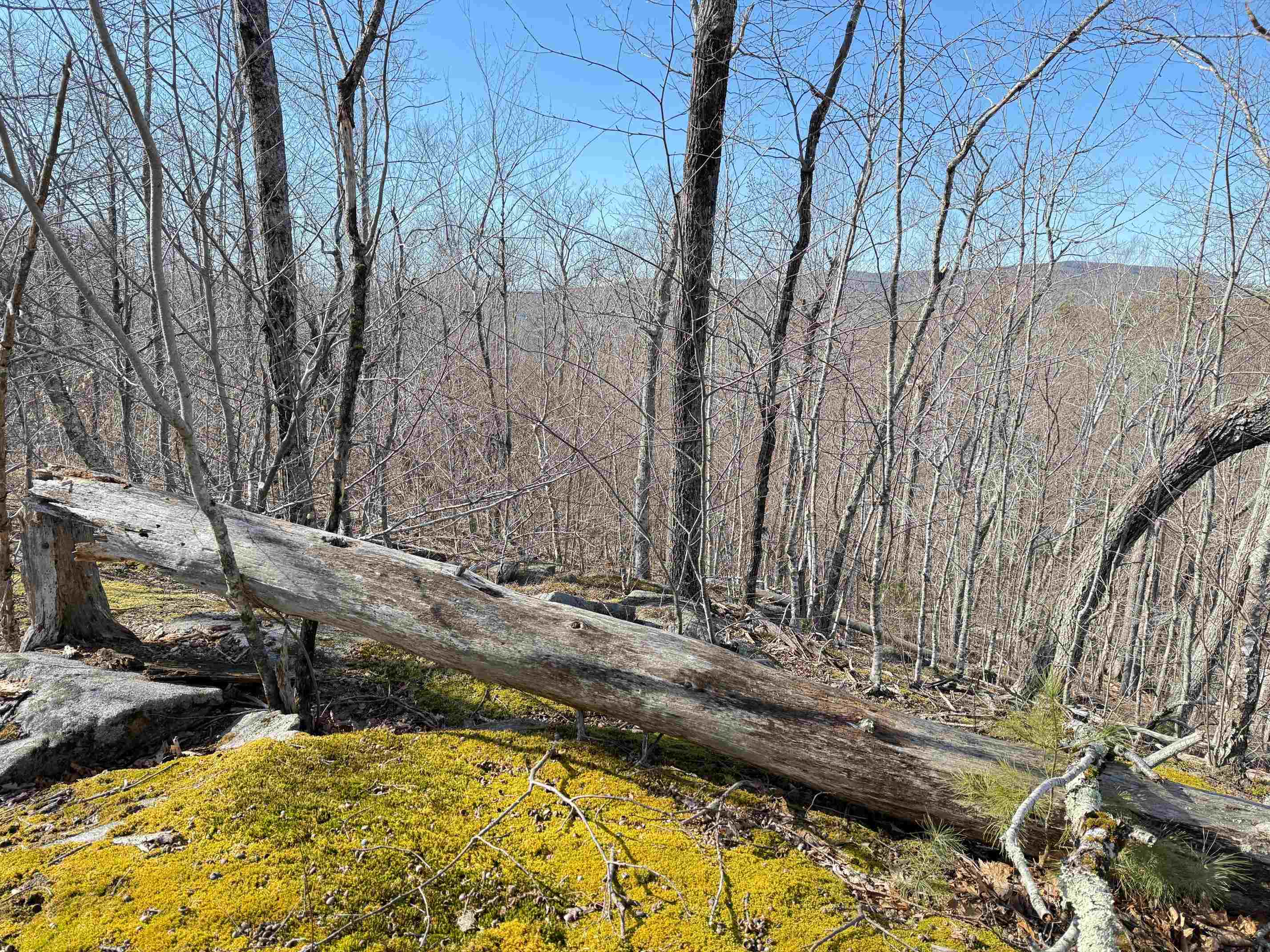 129 Water Street Strafford, NH 03884 - Photo 18 of 29