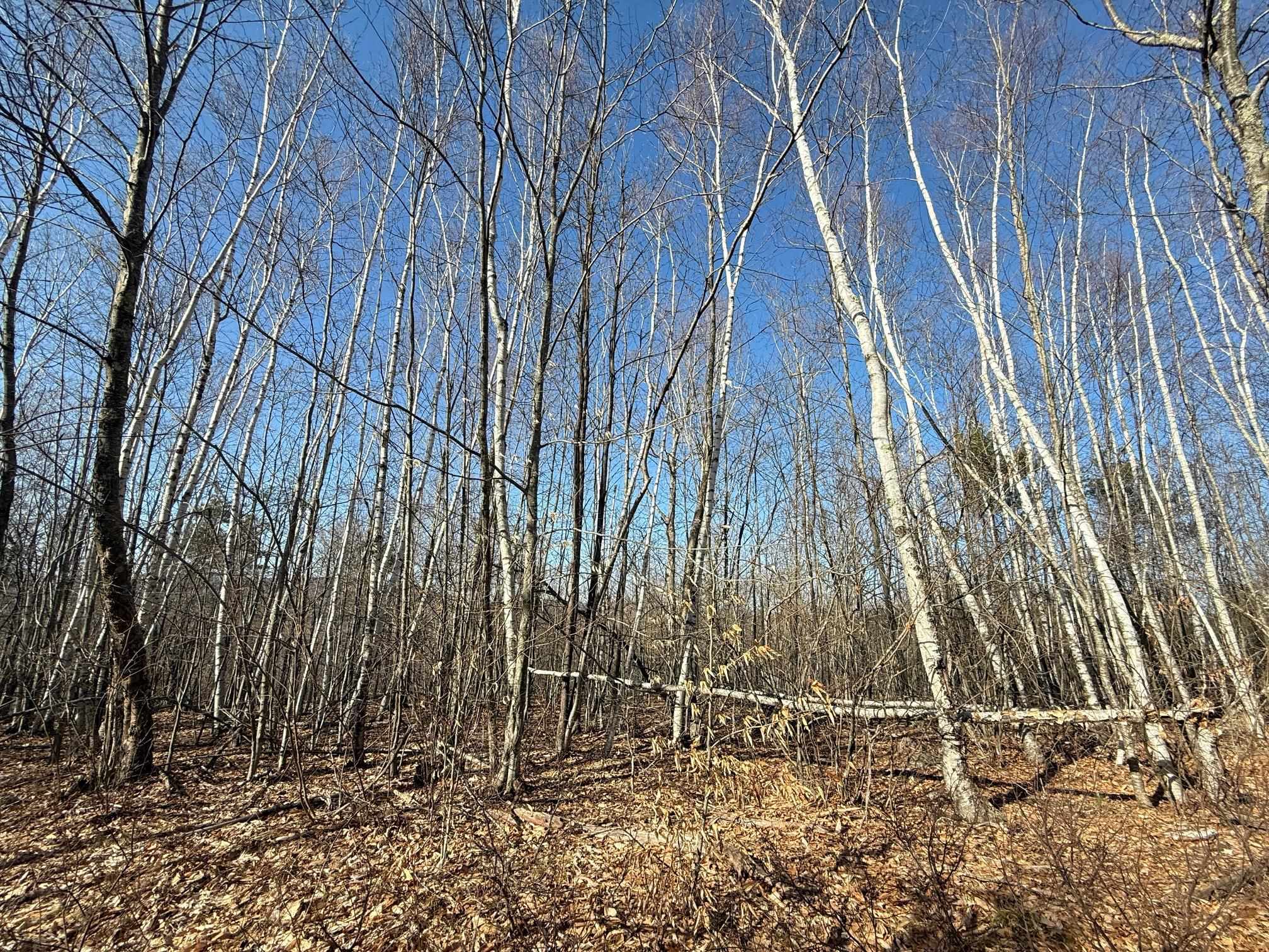 129 Water Street Strafford, NH 03884 - Photo 24 of 29