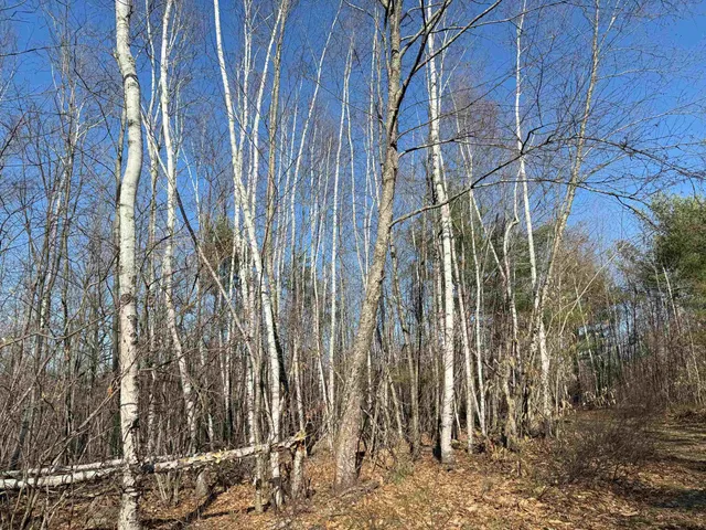 $1,300,000 | 129 Water Street, Strafford, NH 03884