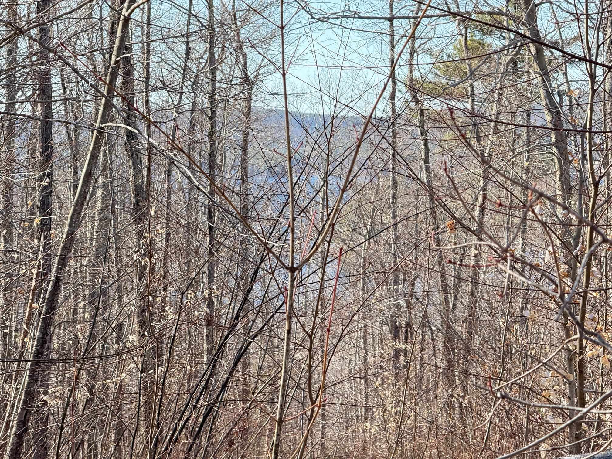 129 Water Street Strafford, NH 03884 - Photo 26 of 29