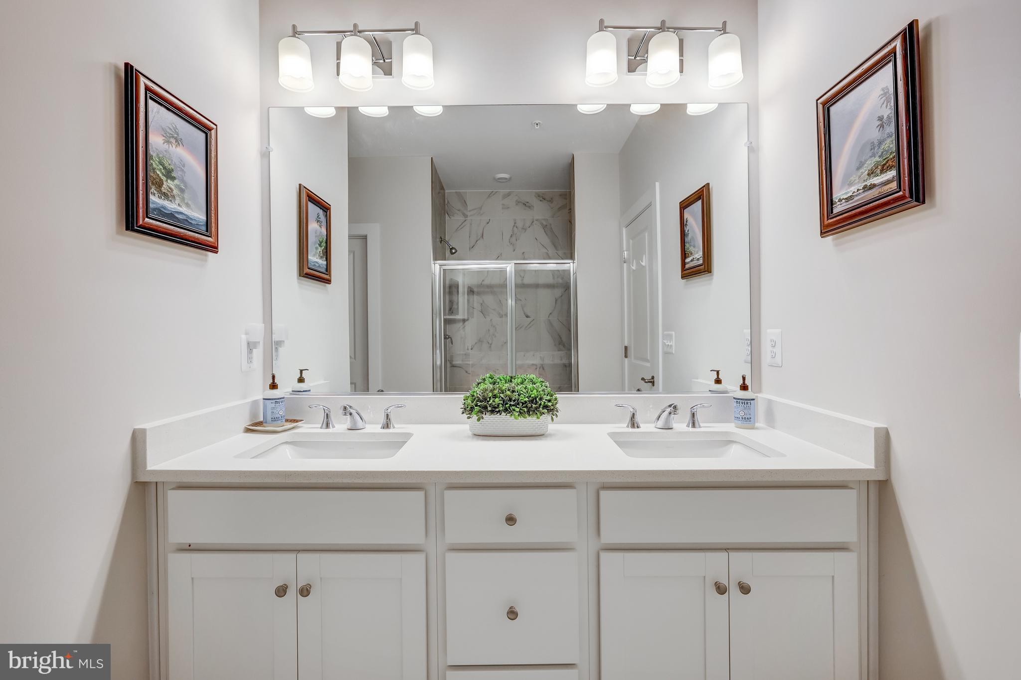 13683 Innovation Station Loop Herndon, VA 20171 - Photo 21 of 32 Primary Bath- Dual SInks