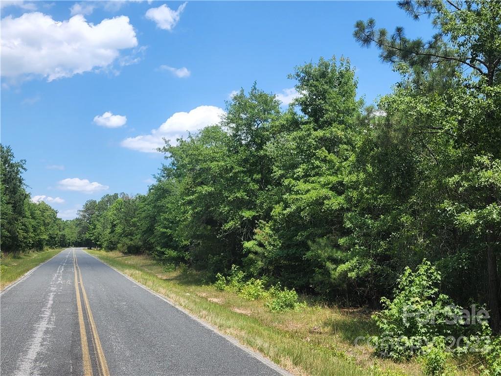4259 Victory Road Kershaw, SC 29067 - Photo 3 of 35 Gallery Image 3