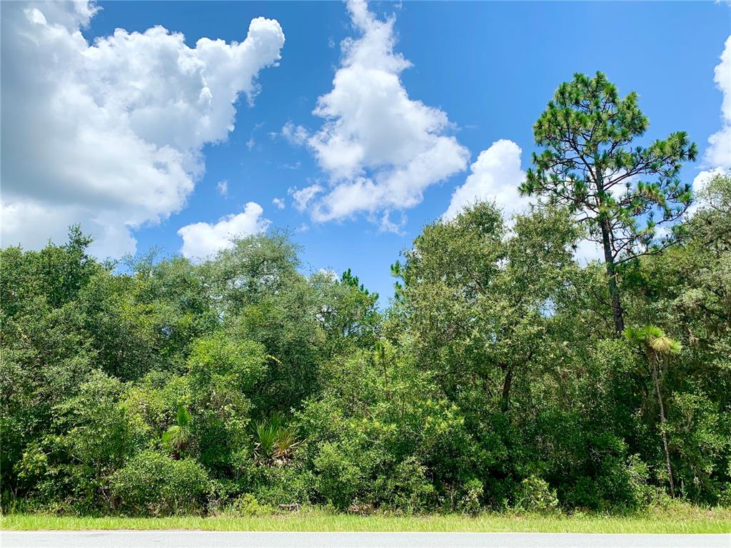 5 Royal Trails Road Eustis, FL 32736 - Photo 1 of 1 no time limit to build