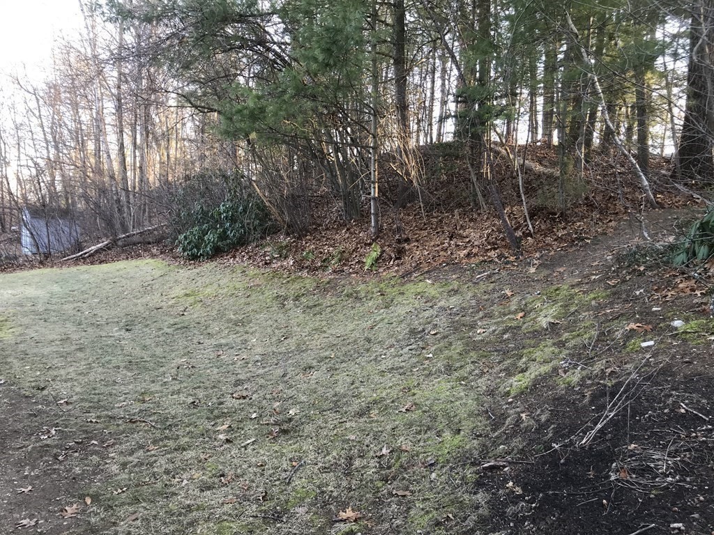 25 Carriage House Path Ashland, MA 01721 - Photo 37 of 37