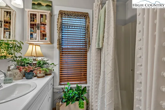 a potted plant sitting in front of a house