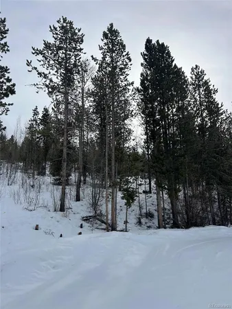 $195,000 | 114-122 Mustang Trail, Grand Lake, CO 80447