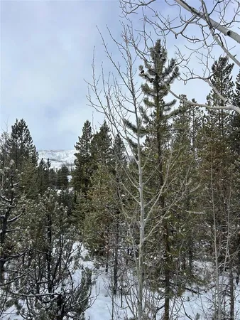 $195,000 | 114-122 Mustang Trail, Grand Lake, CO 80447