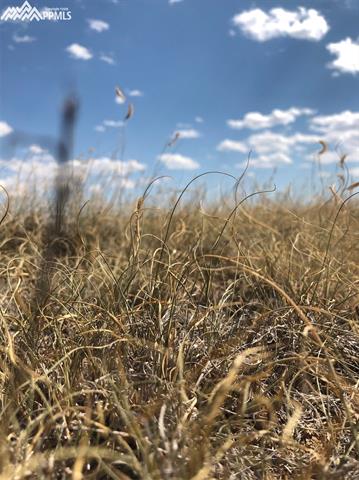 Jacobson Road Rush, CO 80833 - Photo 4 of 18 Gallery Image 4