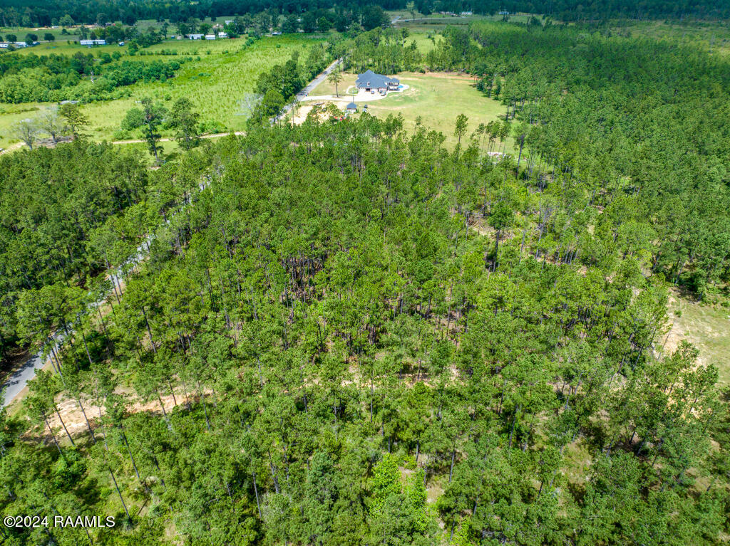 0 Horace Johnson Road Pitkin, LA 70656 - Photo 7 of 23 06