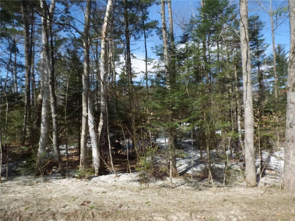 Tbd Taylor Woods Road Guilford, ME 04443 - Photo 2 of 2 Photo