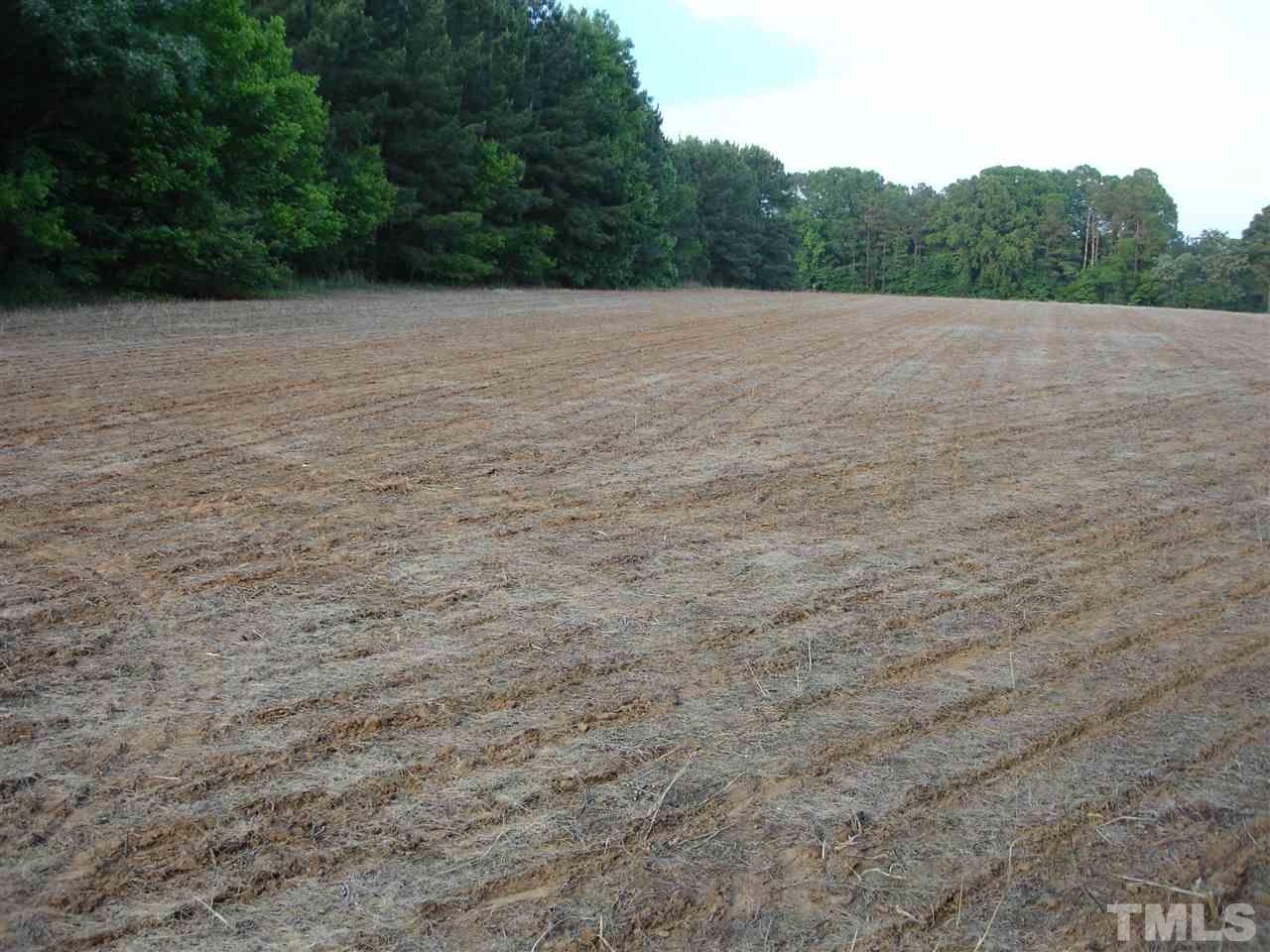 2104 Simon Road Middlesex, NC 27557 - Photo 1 of 1 Gallery Image 1