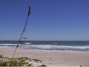 116 Boskind Road Indialantic, FL 32903 - Photo 6 of 6 Additional Photo