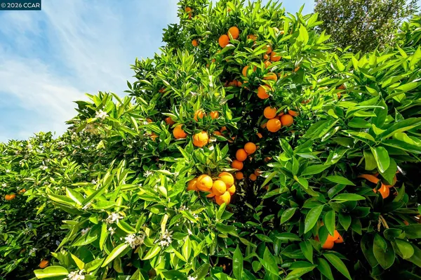 $3,995,000 | 2007 Calle Los Callados, Diablo, CA 94528