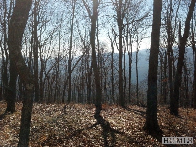 45 Falcon Ridge Road Mills River, NC 28759 - Photo 1 of 1 Gallery Image 1