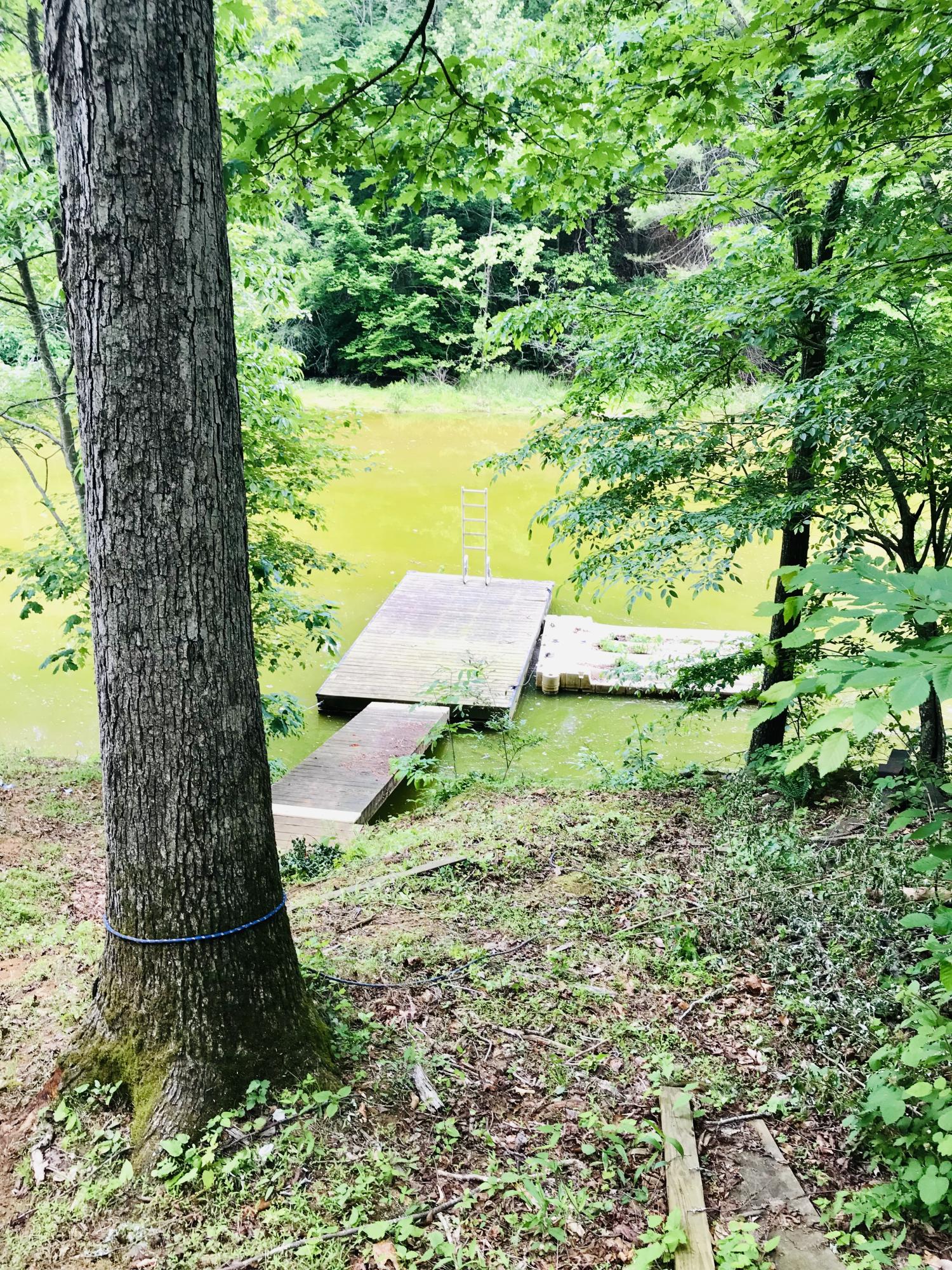 224 Board Mountain Road Goodview, VA 24095 - Photo 13 of 17 a view of a garden with a tree