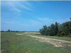 5 Long Hollow Road Rineyville, KY 40162 - Photo 1 of 15 Primary Photo