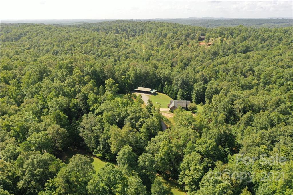 3182 Polk County Line Road Rutherfordton, NC 28139 - Photo 47 of 48 a view of a forest with a street