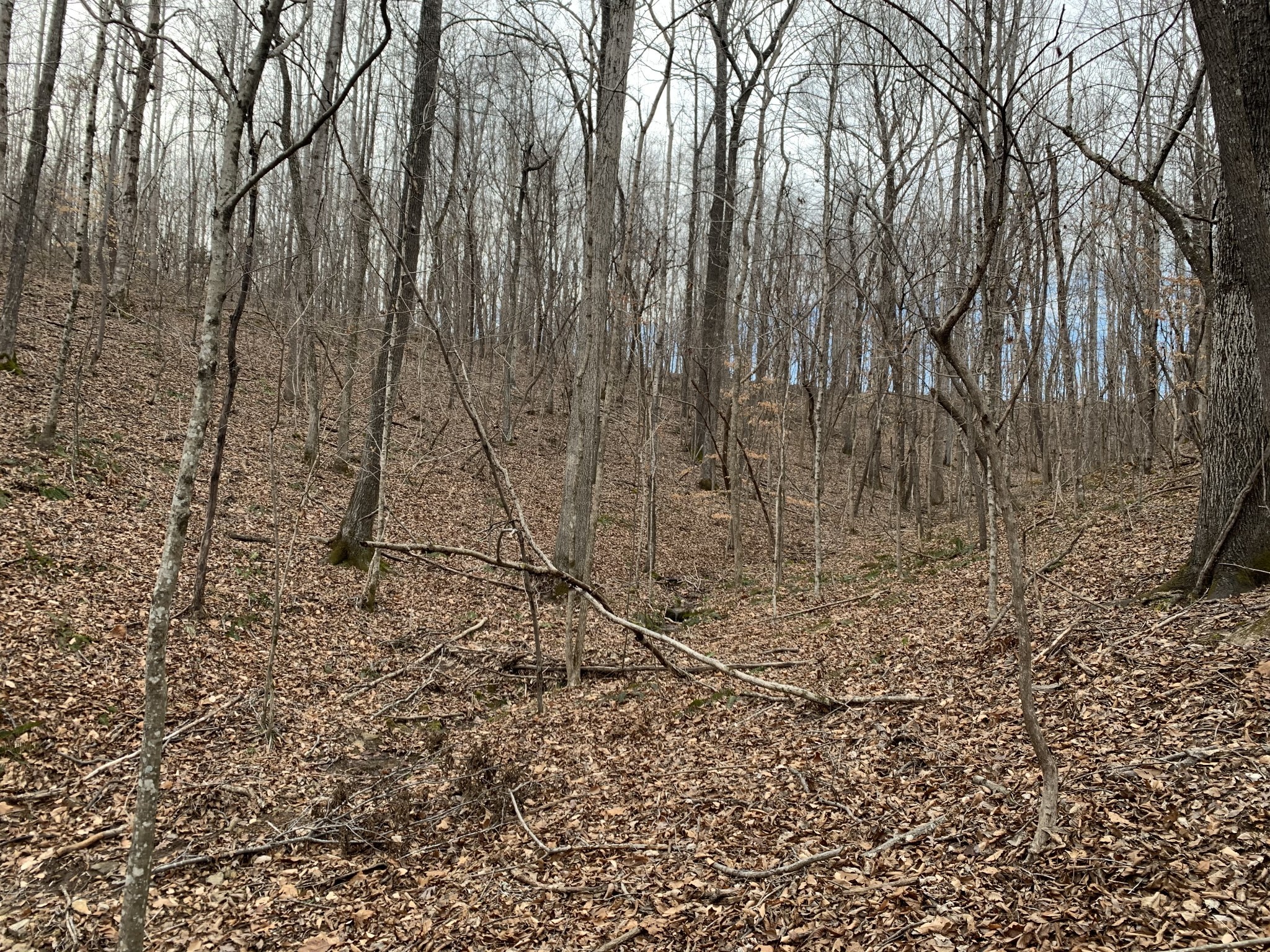 0 West Mackey Road Iron City, TN 38463 - Photo 12 of 19