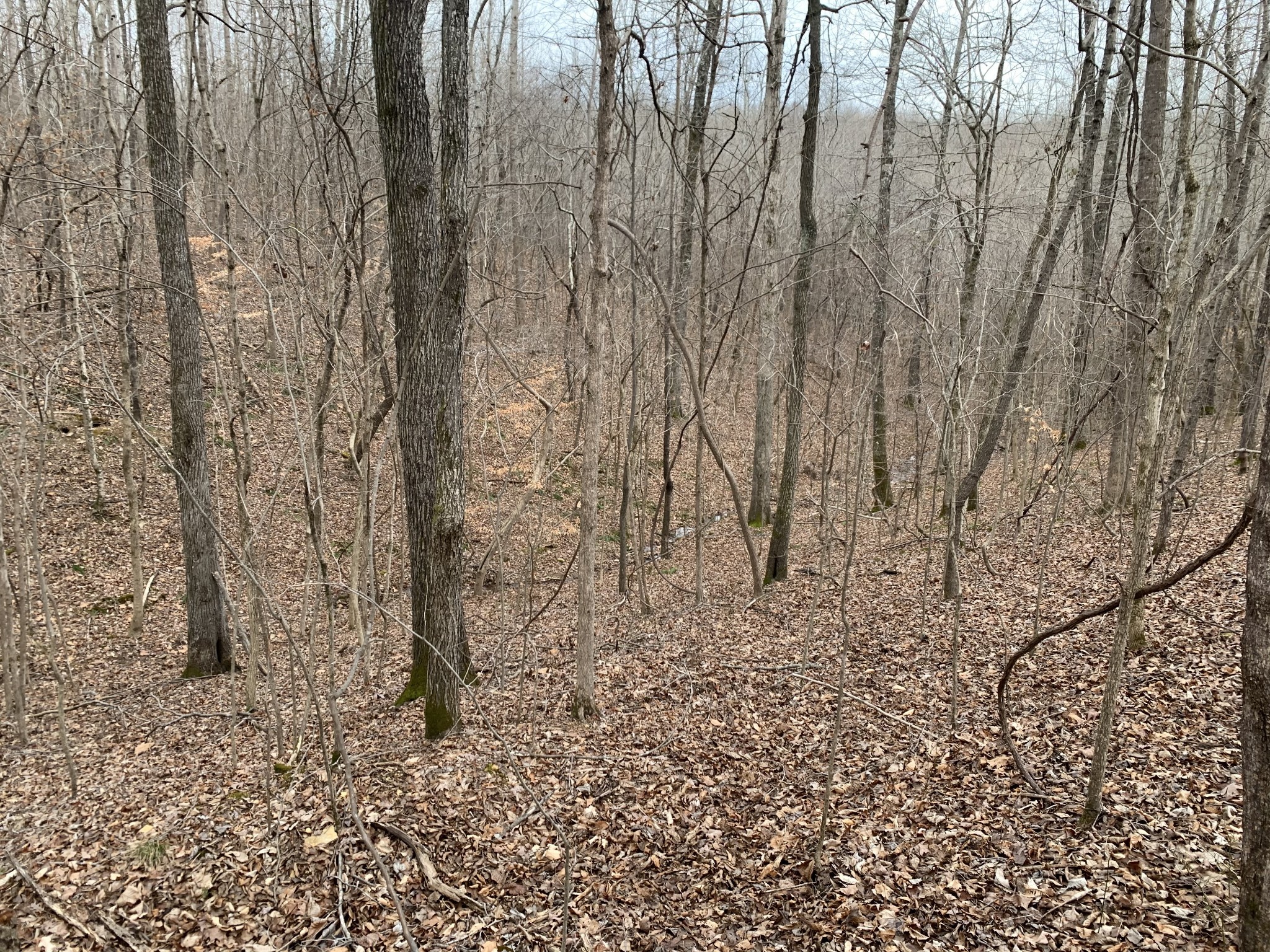 0 West Mackey Road Iron City, TN 38463 - Photo 13 of 19