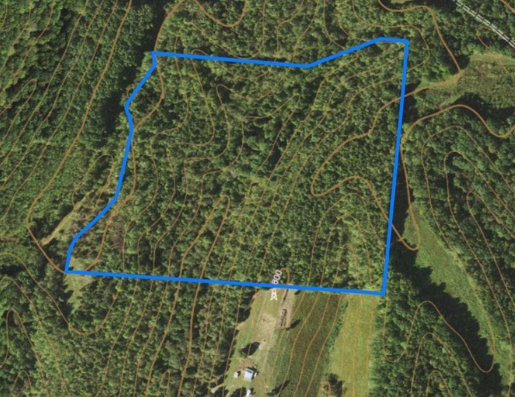 0 West Mackey Road Iron City, TN 38463 - Photo 19 of 19