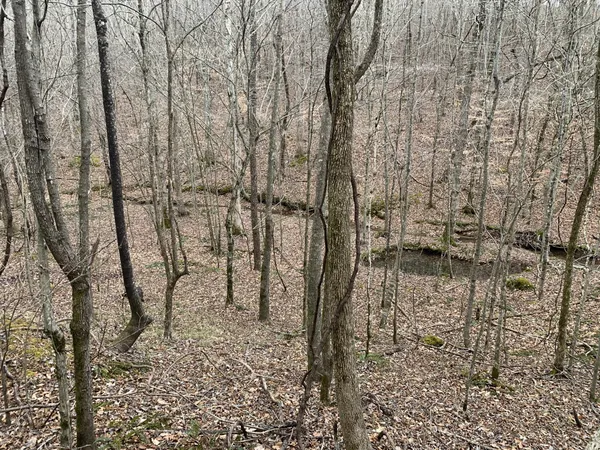a view of a lake view