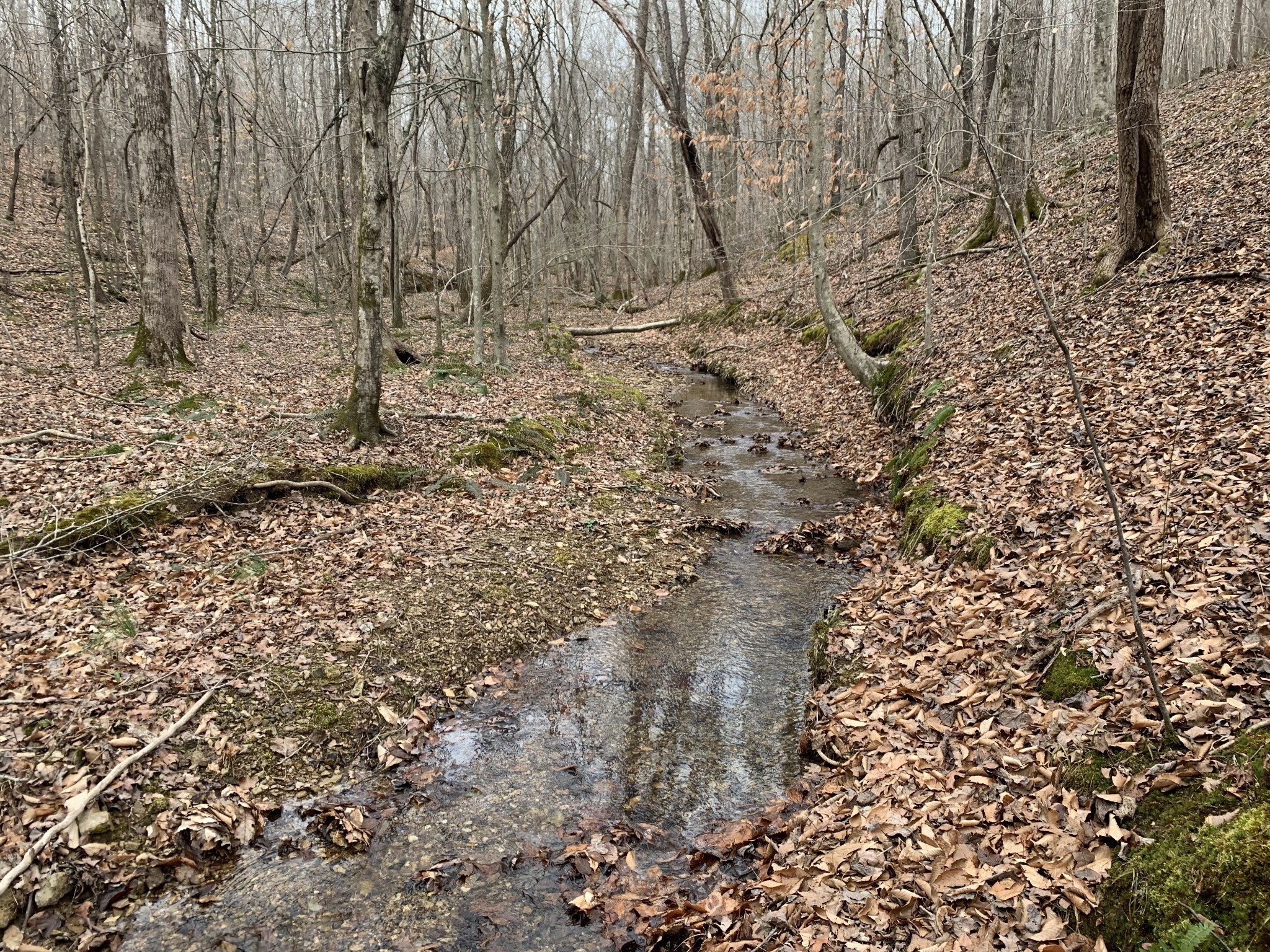 0 West Mackey Road Iron City, TN 38463 - Photo 7 of 19