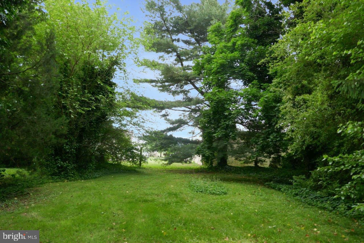 12120 Galena Road Massey, MD 21650 - Photo 27 of 27 Gallery Image 27
