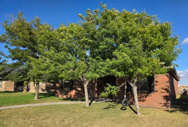 a view of a tree in front of a house