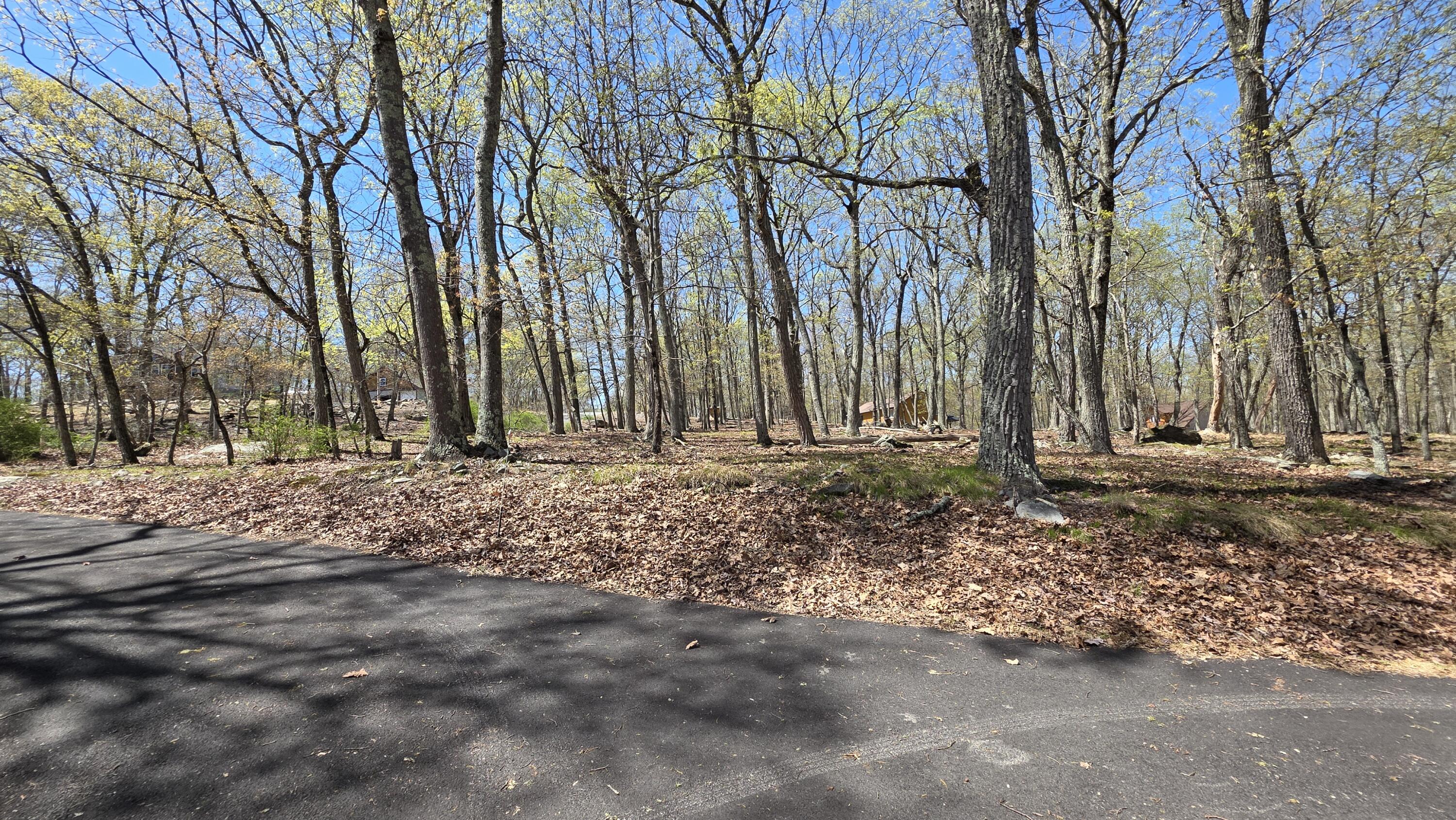 175 Mockingbird Trail Bushkill, PA 18324 - Photo 54 of 68 1000027562