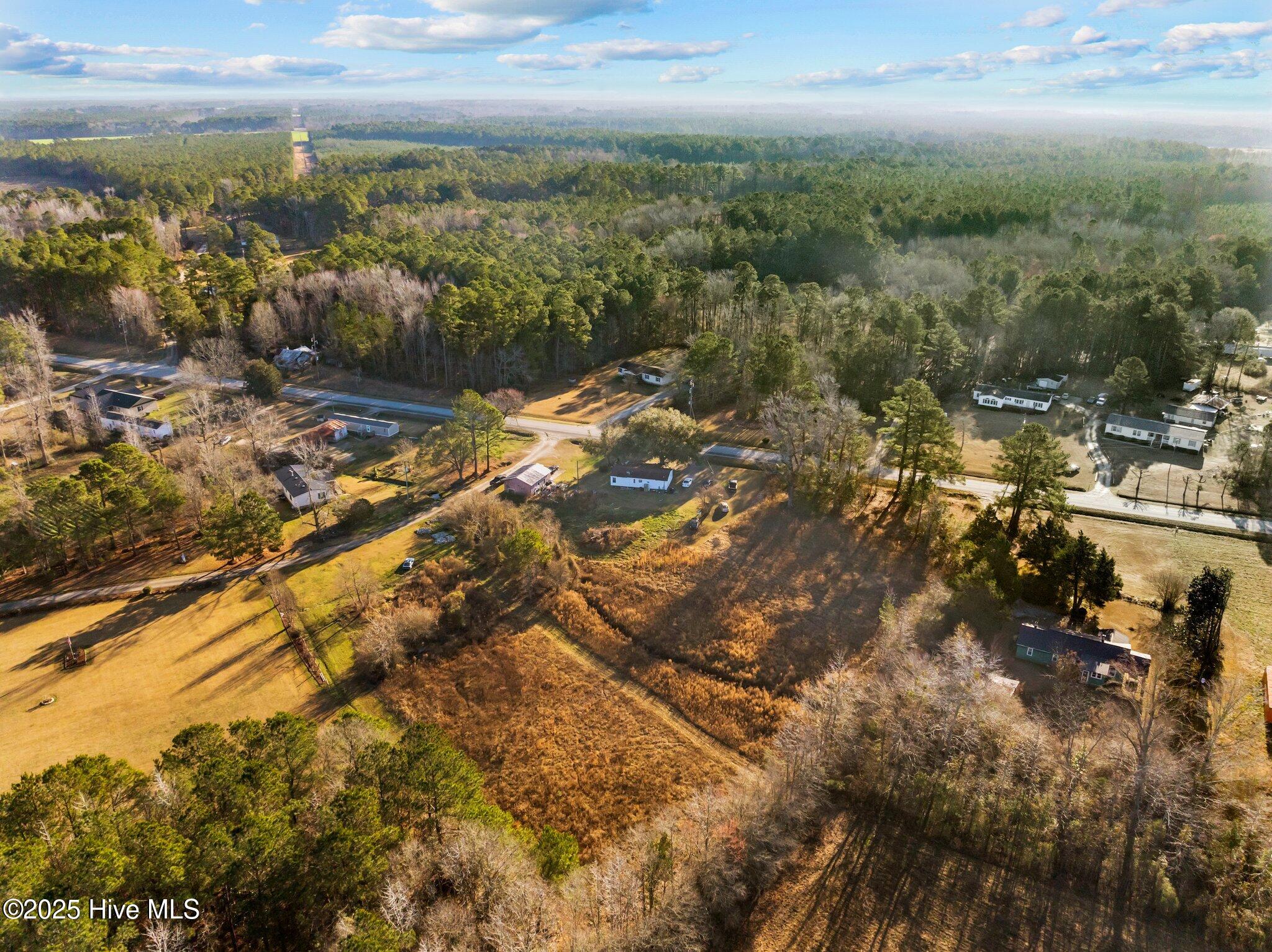 0 Nc-53 Atkinson, NC 28421 - Photo 8 of 12 4-web-or-mls-Photo Feb 13 2025, 1 28 35
