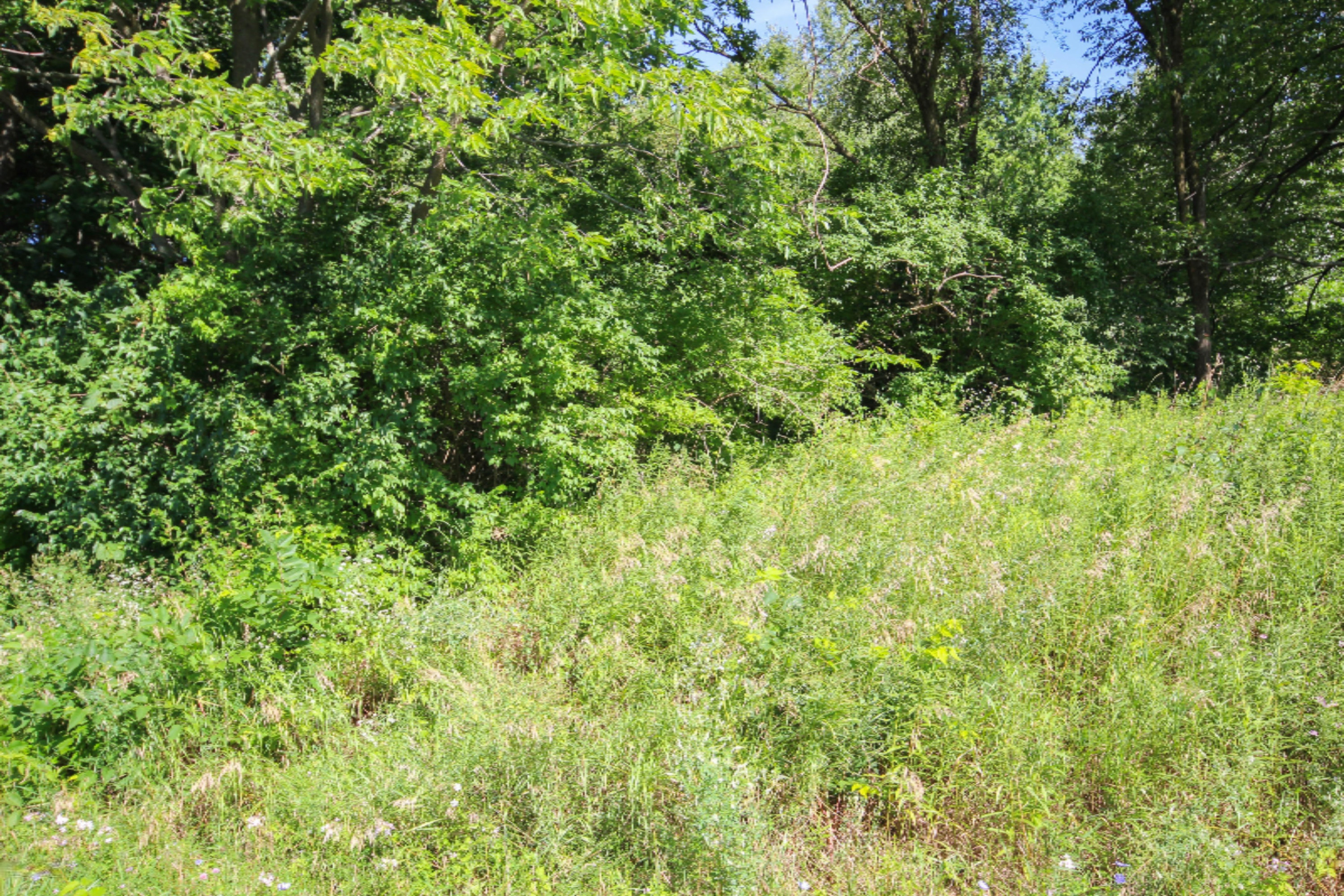 Three Rivers Mi 49093 Road Three Rivers, MI 49093 - Photo 5 of 8 untitled (5 of 8)