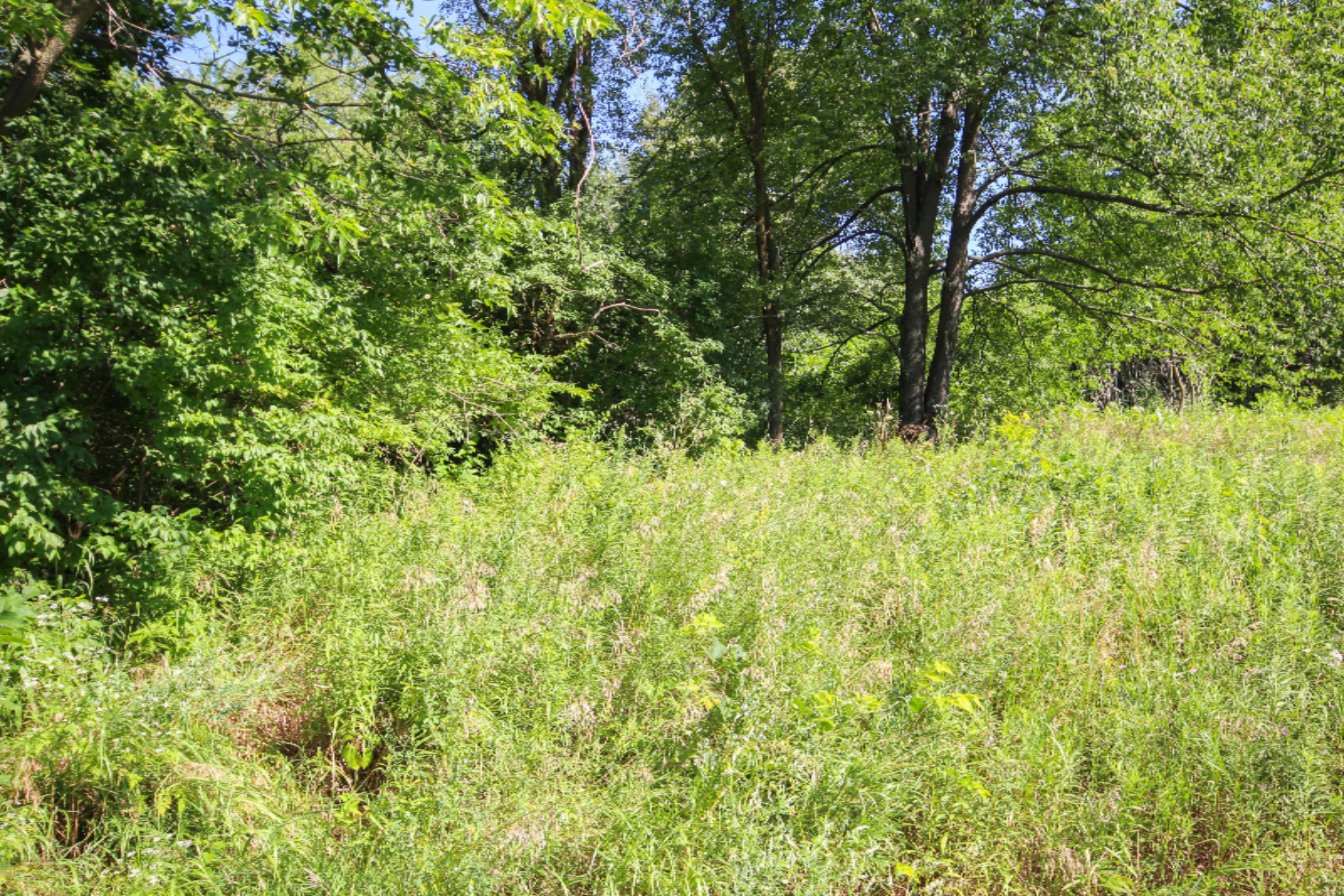 Three Rivers Mi 49093 Road Three Rivers, MI 49093 - Photo 8 of 8 untitled (8 of 8)