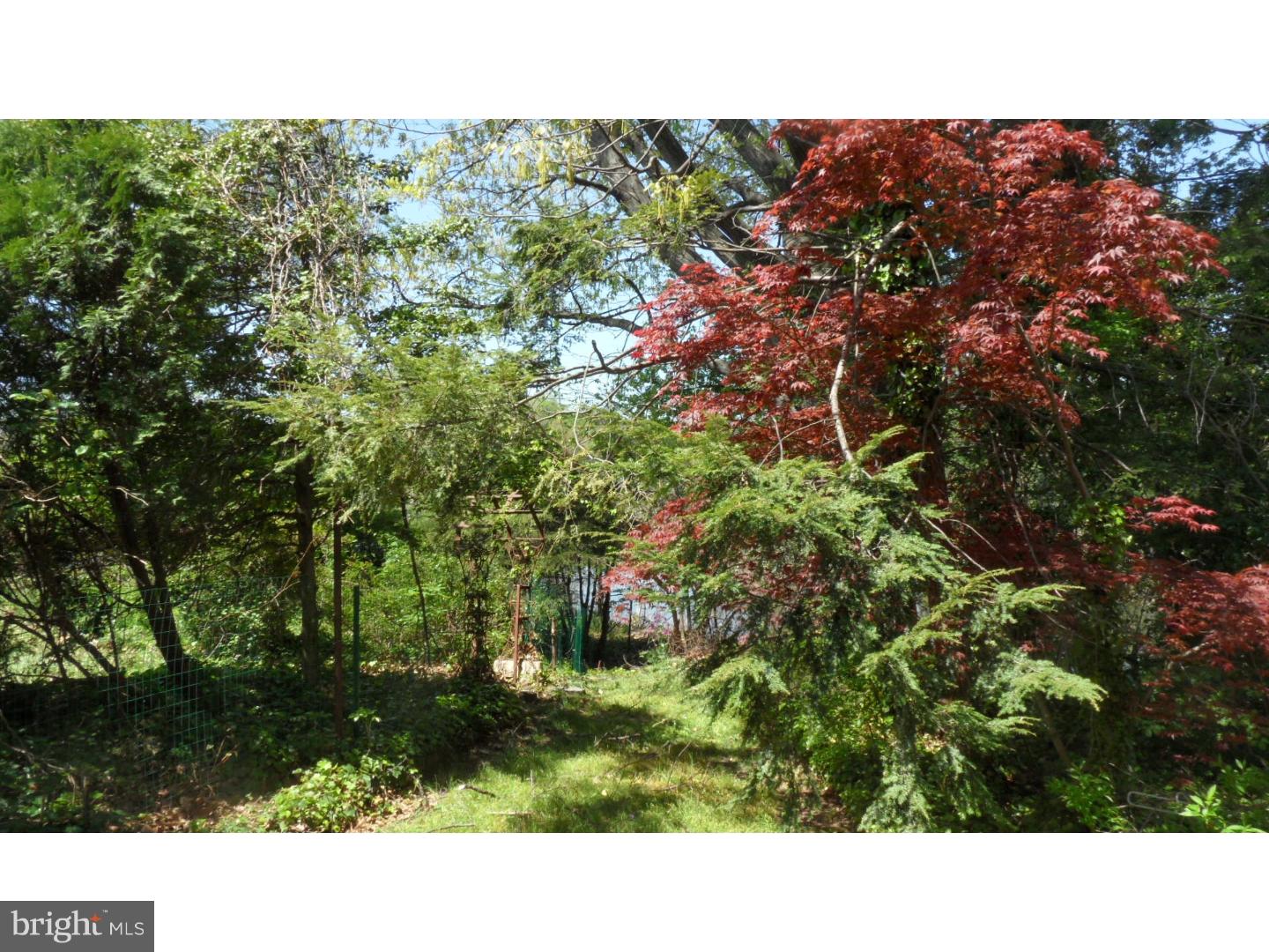 2859 Tuckahoe Road Camden, NJ 08104 - Photo 24 of 24 Gallery Image 24