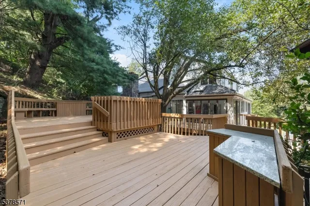 a view of a small yard