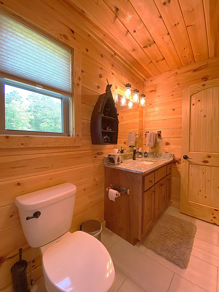 170 Canoe Bend Murphy, NC 28906 - Photo 20 of 75 Gallery Image 20
