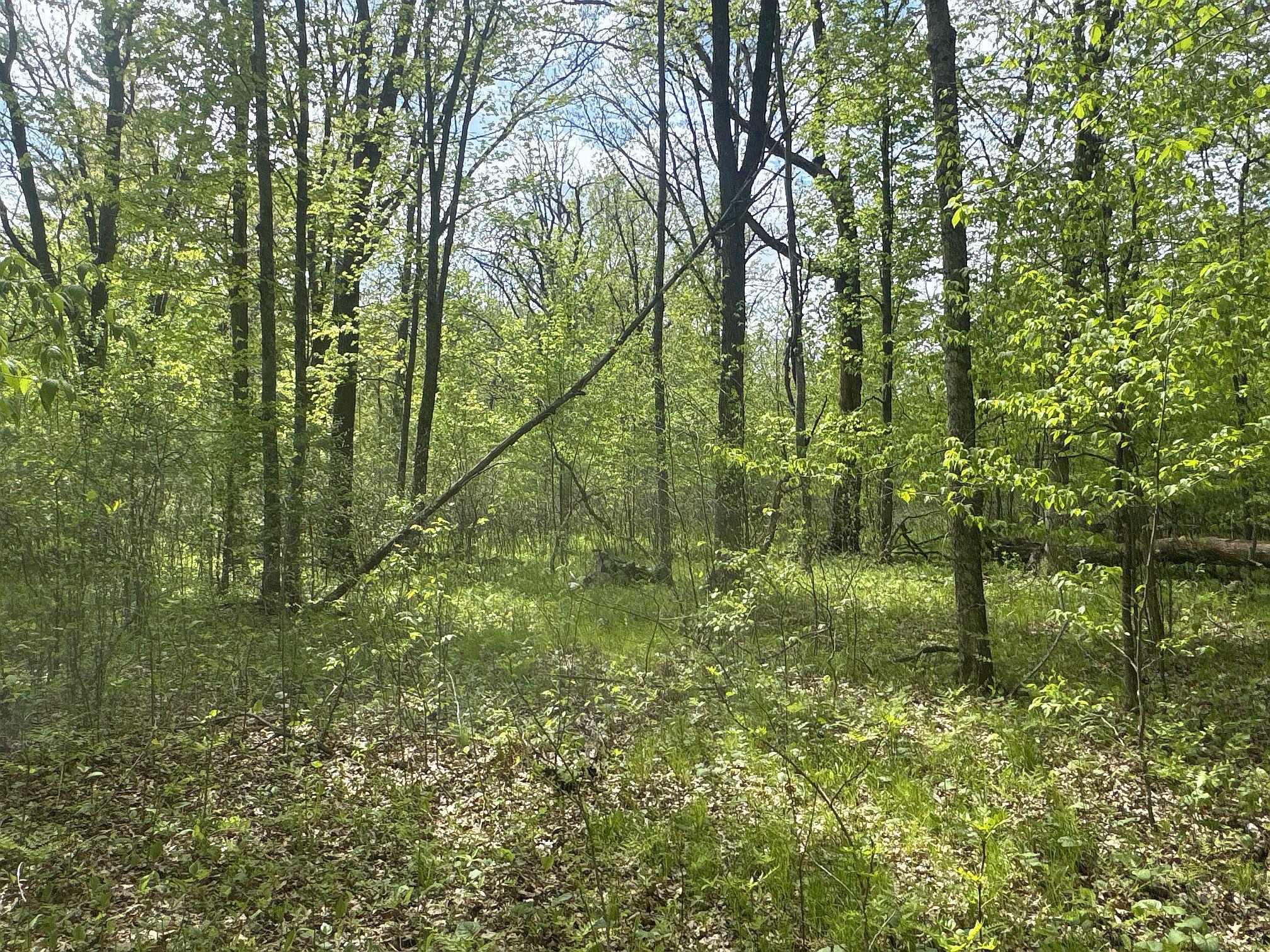 25275 Bruss Road Webster, WI 54893 - Photo 15 of 36