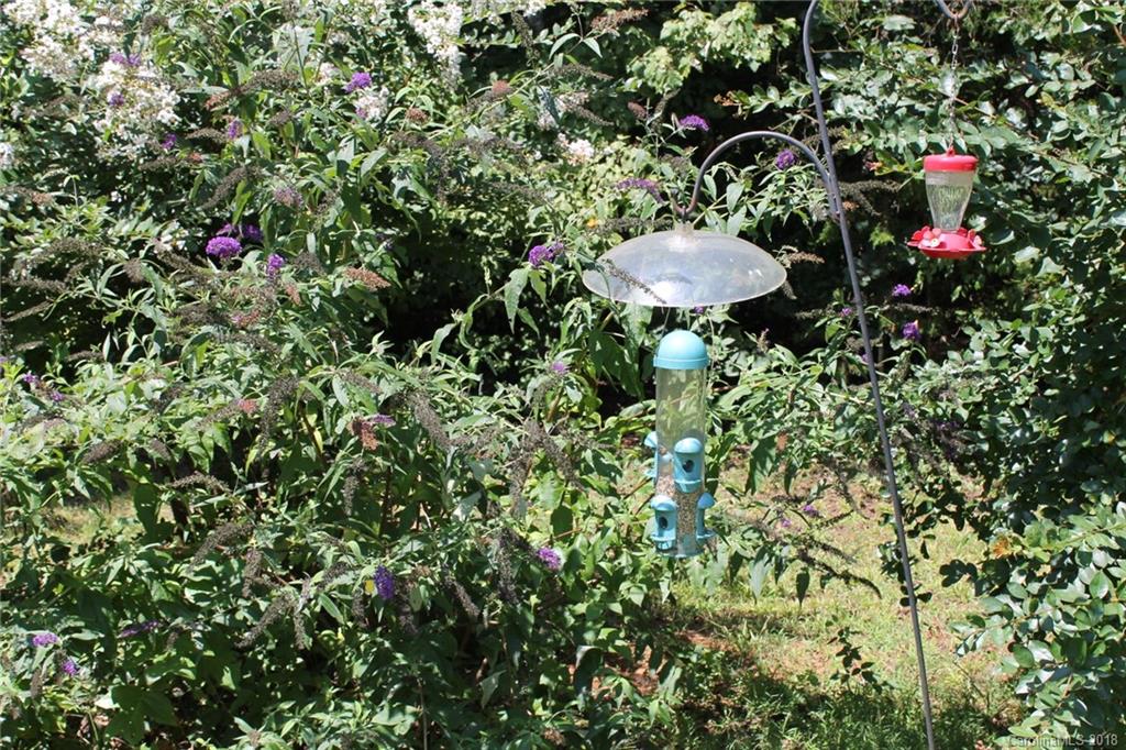 3048 Howards Bridge Road Union Grove, NC 28689 - Photo 24 of 30 Gallery Image 24