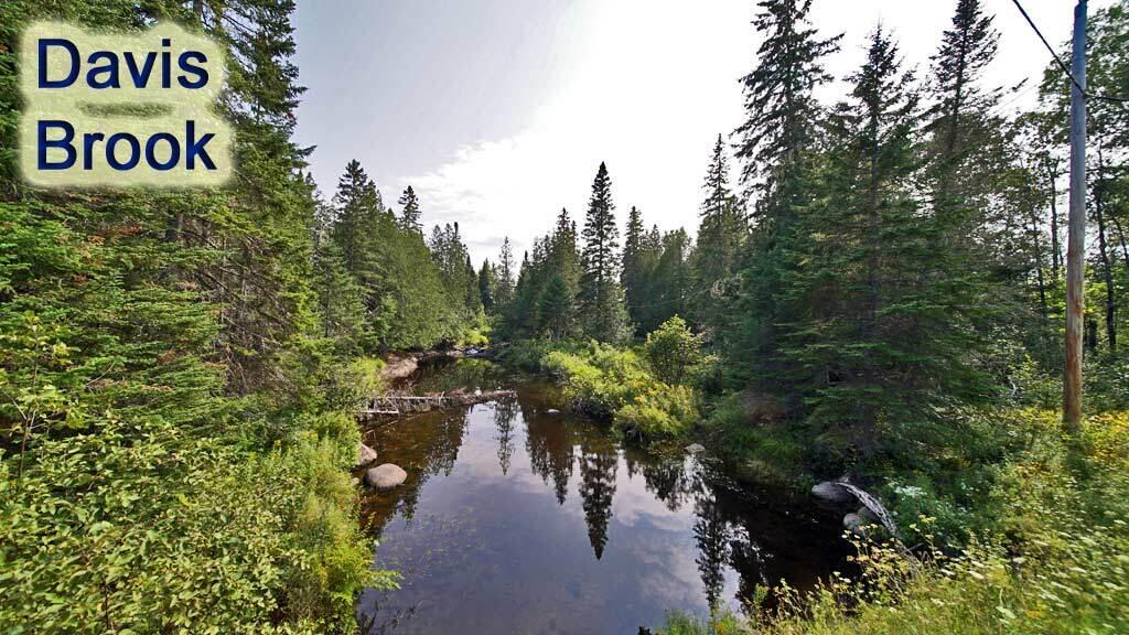 Lot 13 Wilcox Road Orient, ME 04471 - Photo 2 of 24