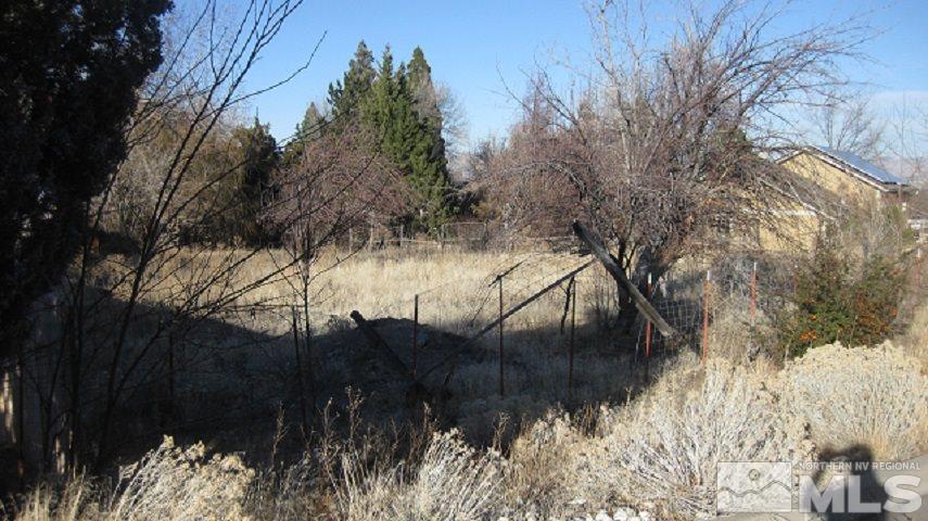 3010 Natalie Street Reno, NV 89509 - Photo 1 of 3 Photo 1
