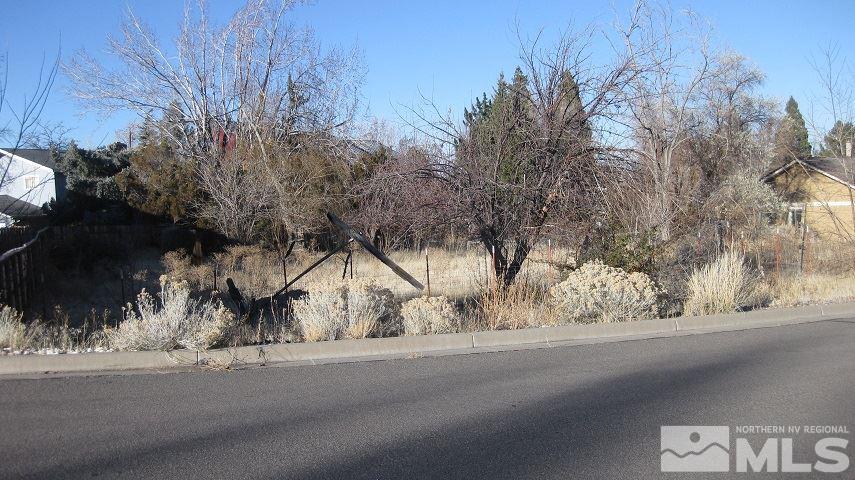 3010 Natalie Street Reno, NV 89509 - Photo 2 of 3 Photo 2