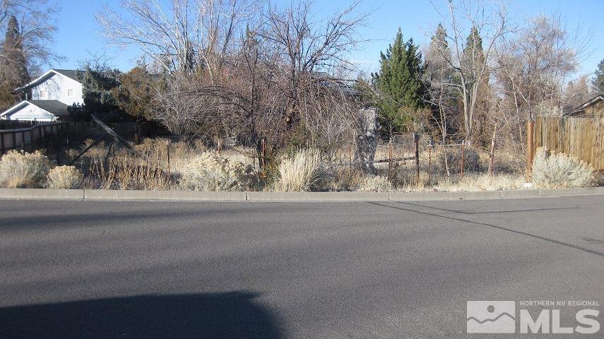 3010 Natalie Street Reno, NV 89509 - Photo 3 of 3 Photo 3