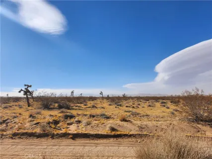 a view of city and ocean
