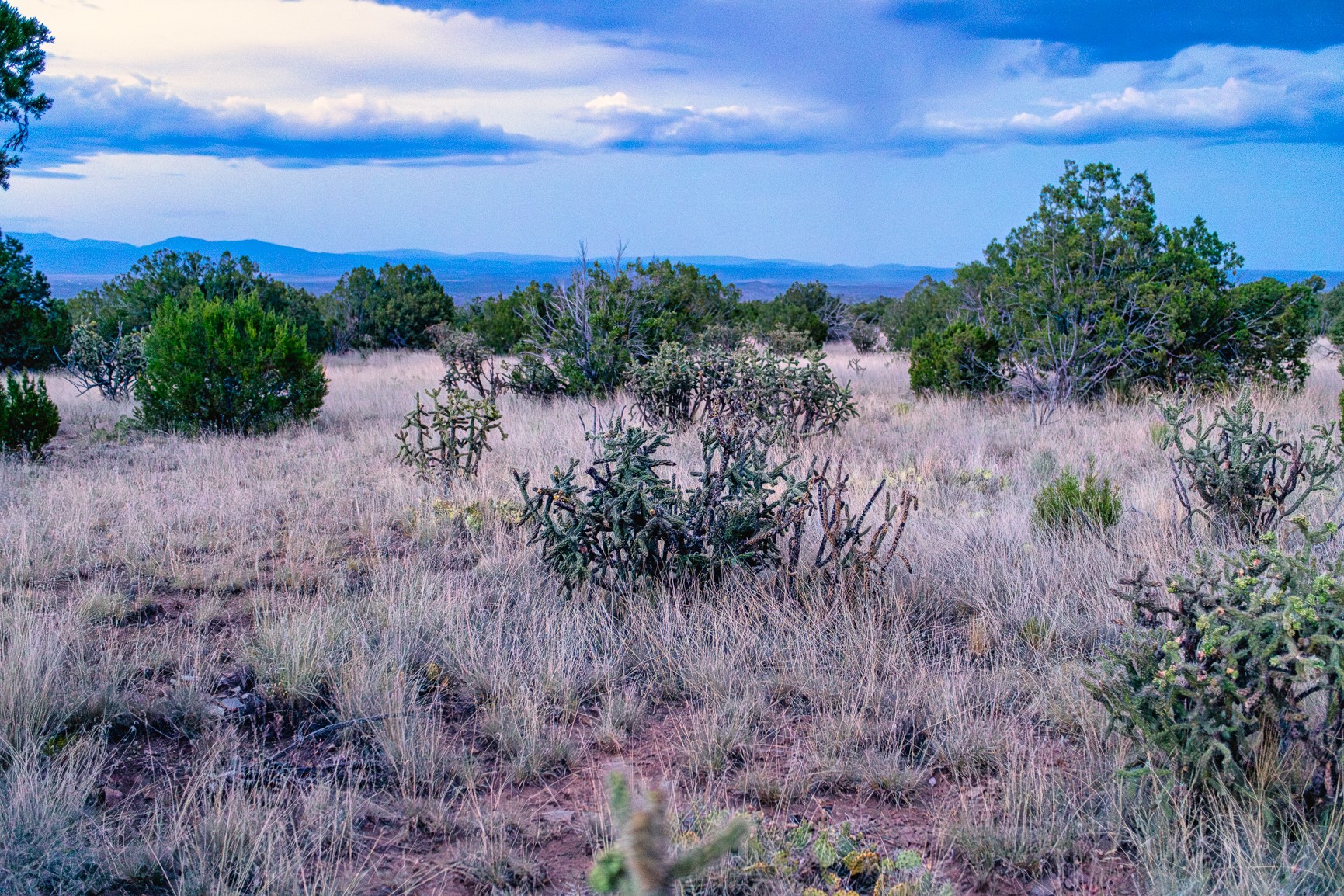 509 Gold Mine Road Cerrillos, NM 87010 - Photo 6 of 20