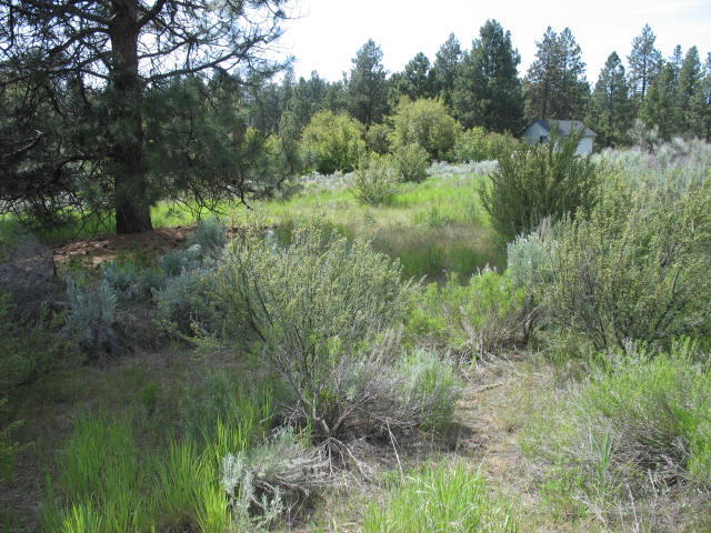Irving Way, Unit 3 Chiloquin, OR 97624 - Photo 8 of 10 2019-06-10 16.04.04