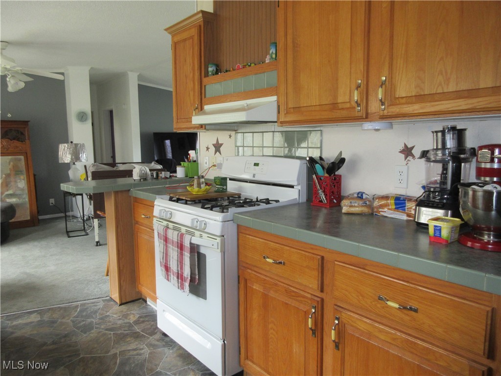5372 Slater Road Williamsfield, OH 44093 - Photo 10 of 18 Gallery Image 10