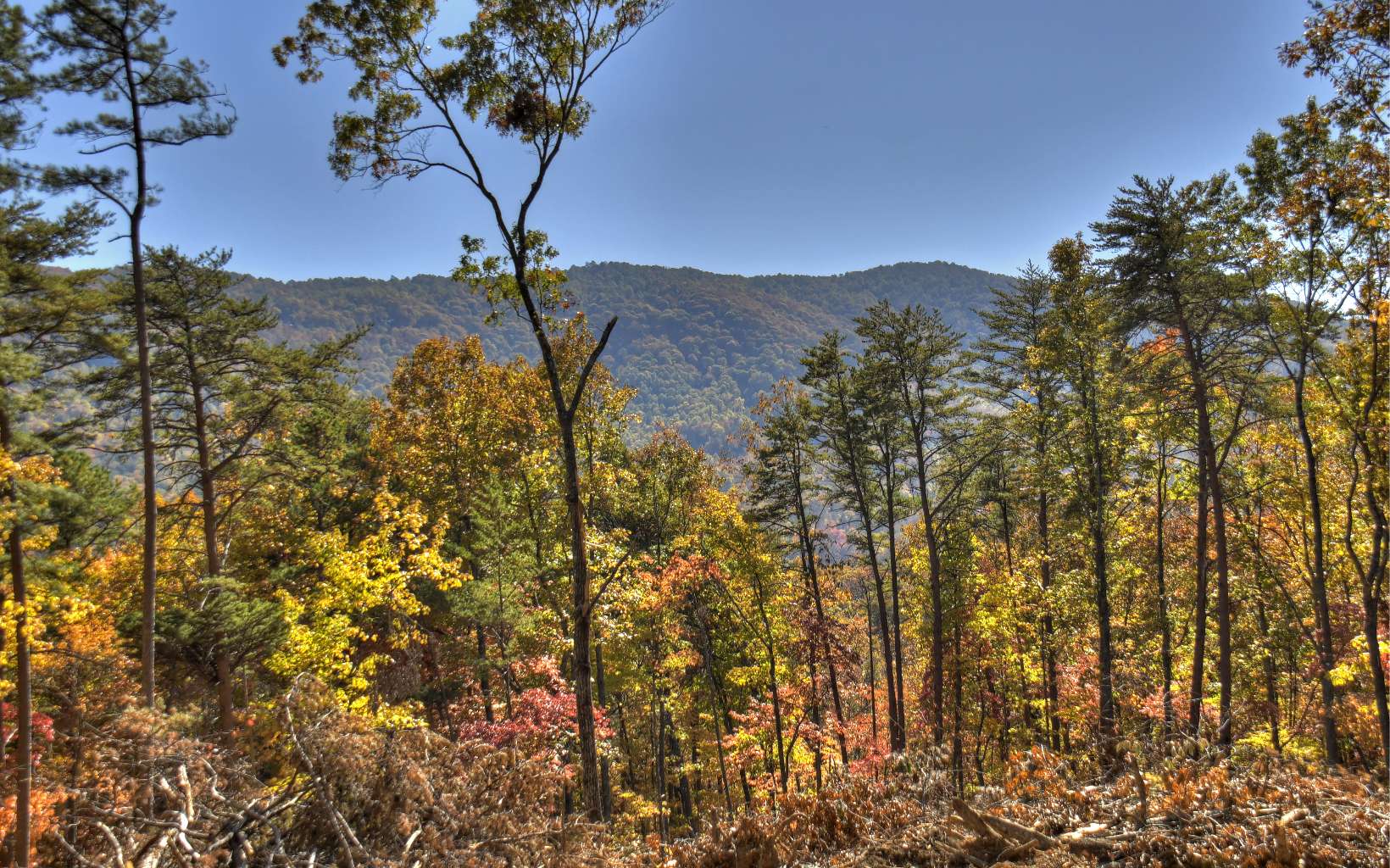 8 Deer Crest Road Blue Ridge, GA 30513 - Photo 11 of 19 Additional View