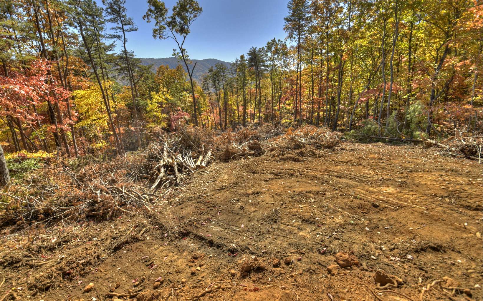 8 Deer Crest Road Blue Ridge, GA 30513 - Photo 12 of 19 Additional View