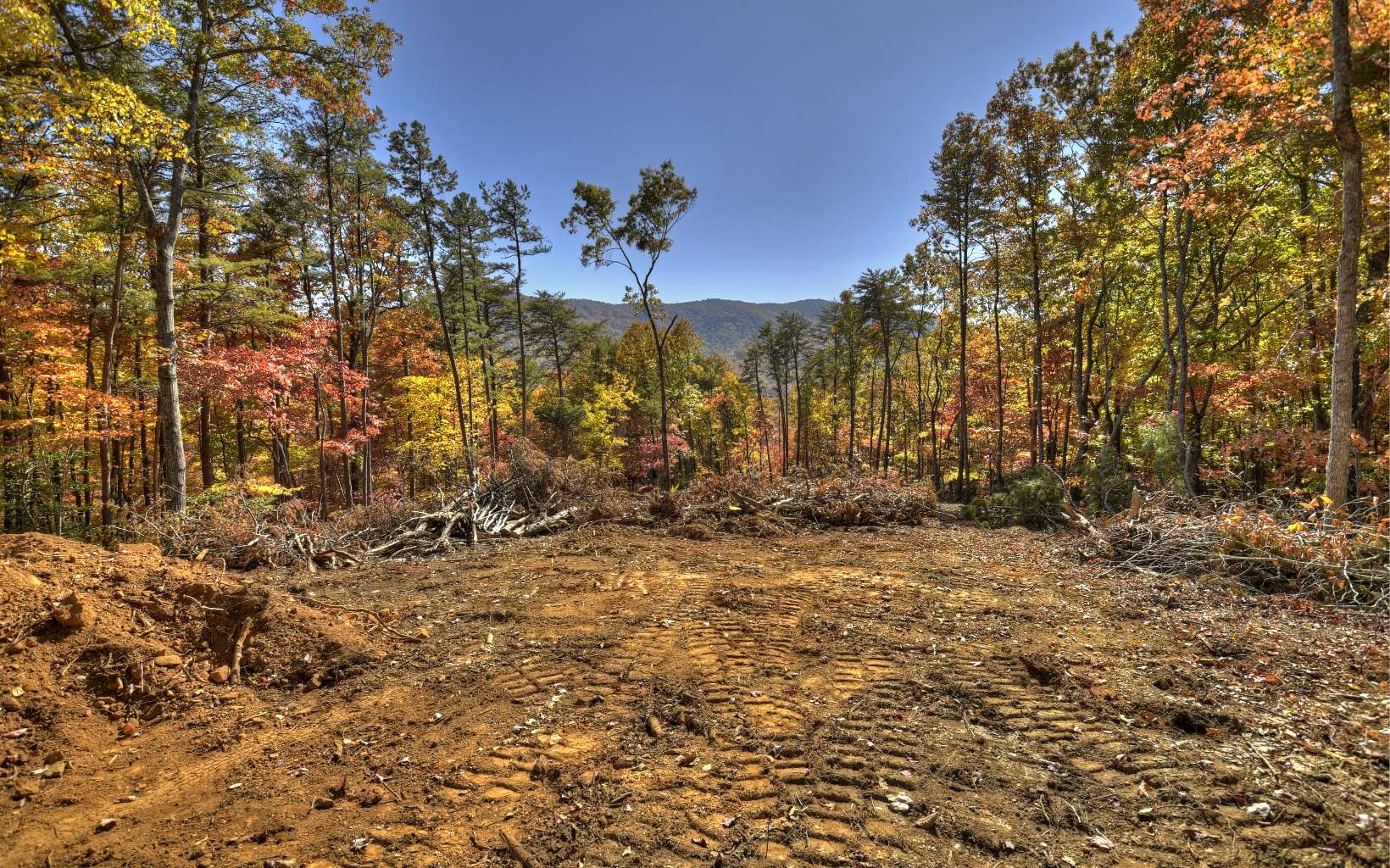 8 Deer Crest Road Blue Ridge, GA 30513 - Photo 7 of 19 Additional View