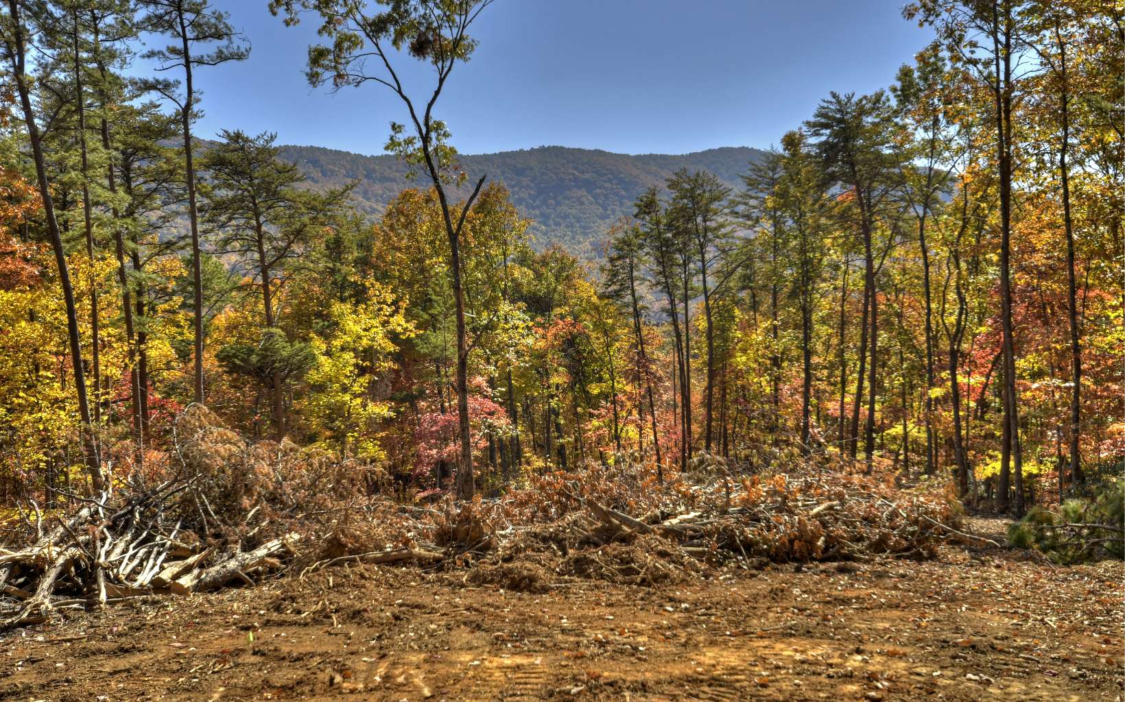 8 Deer Crest Road Blue Ridge, GA 30513 - Photo 8 of 19 Additional View